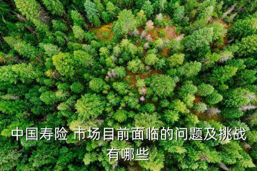 中國壽險(xiǎn) 市場目前面臨的問題及挑戰(zhàn)有哪些