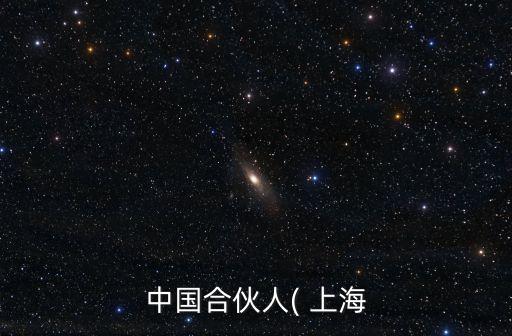 中國(guó)合伙人( 上海
