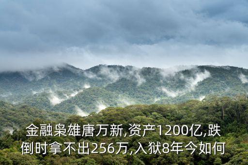 新疆德隆集團破產