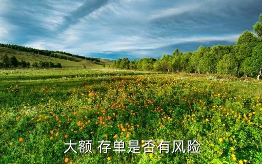  大額 存單是否有風險
