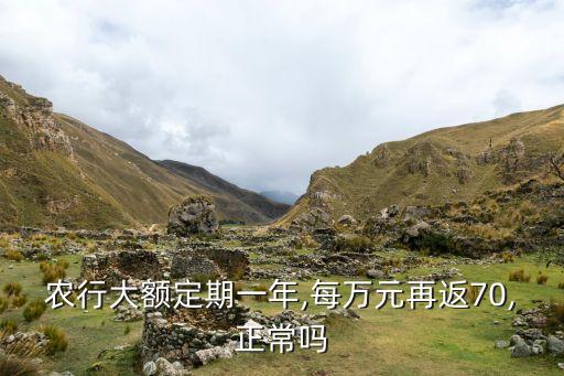 農(nóng)行大額定期一年,每萬元再返70,正常嗎