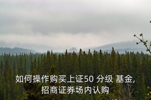 如何操作購買上證50 分級 基金,招商證券場內認購