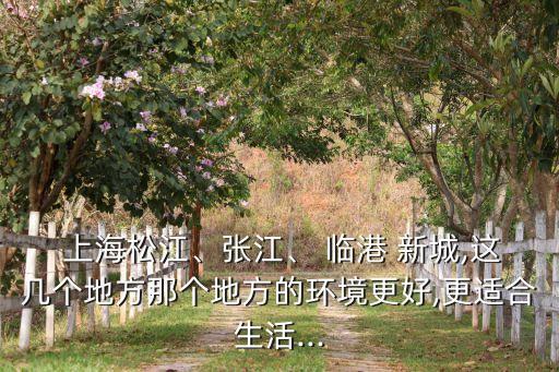  上海松江、張江、 臨港 新城,這幾個(gè)地方那個(gè)地方的環(huán)境更好,更適合生活...