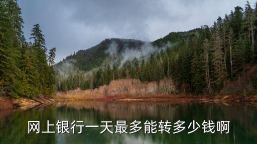 網(wǎng)上銀行一天最多能轉多少錢啊