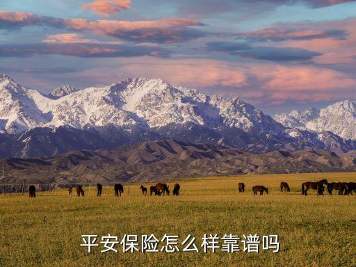 平安保險怎么樣靠譜嗎