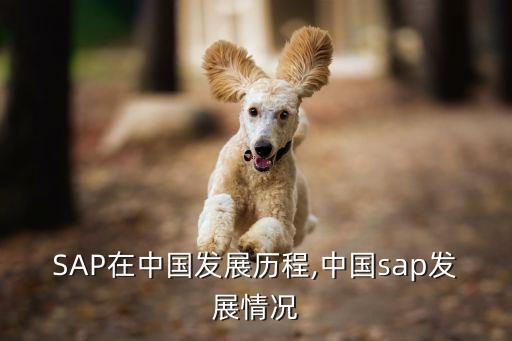 sappi集團,Sappi集團