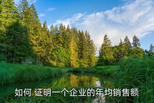 如何 證明一個(gè)企業(yè)的年均銷(xiāo)售額