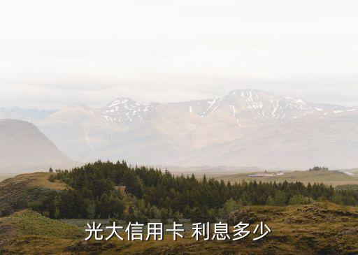 光大信用卡 利息多少