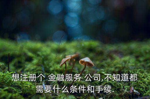 想注冊個 金融服務 公司,不知道都需要什么條件和手續(xù).