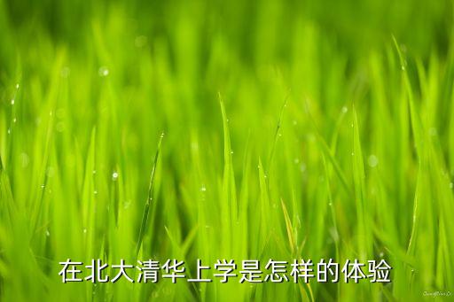 北京大學網(wǎng)速