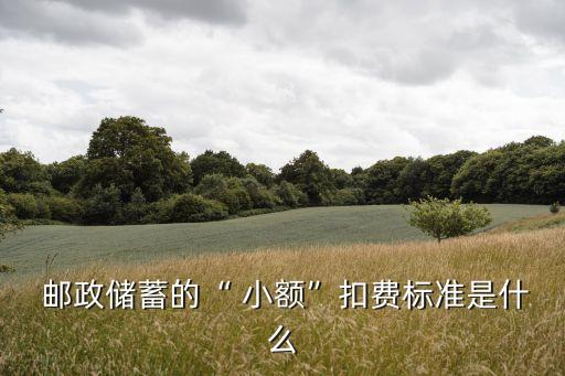  郵政儲蓄的“ 小額”扣費標(biāo)準(zhǔn)是什么