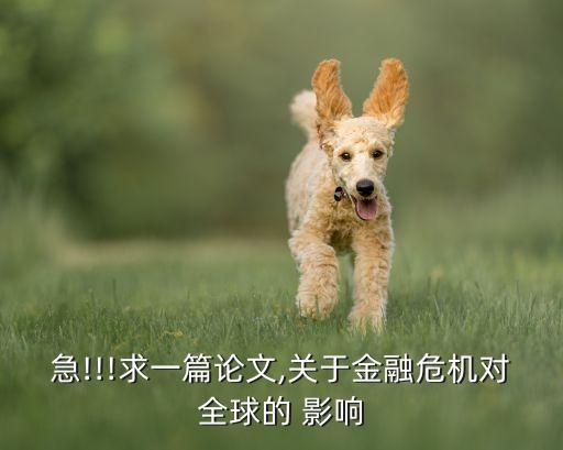 恐怖襲擊對(duì)中國(guó)股市影響