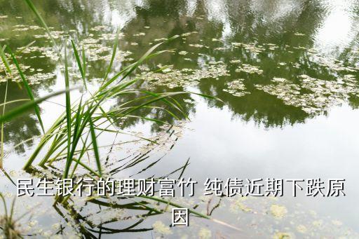 民生銀行的理財富竹 純債近期下跌原因