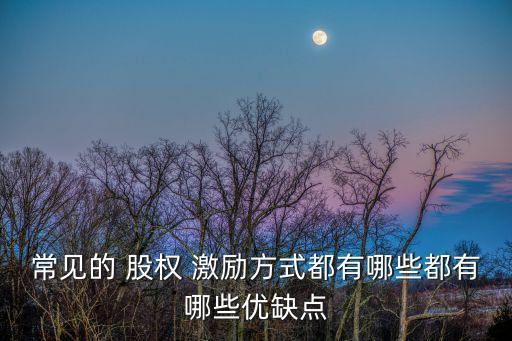 常見(jiàn)的 股權(quán) 激勵(lì)方式都有哪些都有哪些優(yōu)缺點(diǎn)