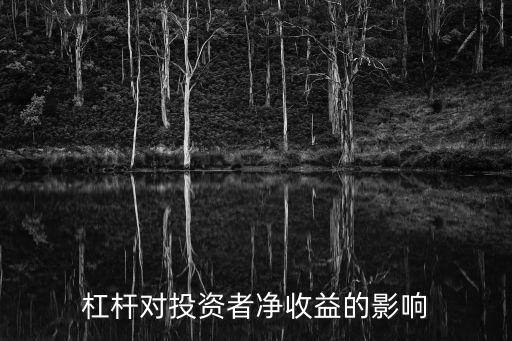 財(cái)務(wù)杠桿對投資者凈收益的影響