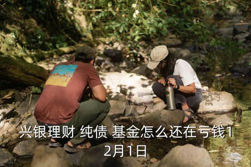 純債基金為什么會虧損,最近純債基金為什么跌