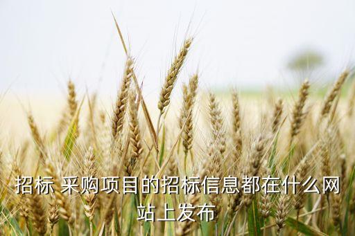 招標 采購項目的招標信息都在什么網站上發(fā)布