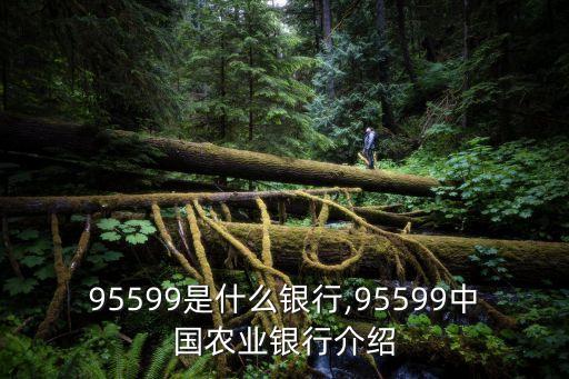 95599是什么銀行,95599中國農(nóng)業(yè)銀行介紹
