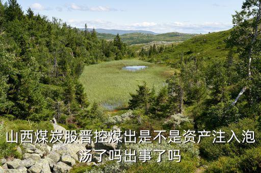 晉煤集團(tuán)股票代碼,寧煤集團(tuán)股票代碼