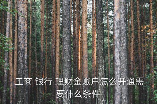  工商 銀行 理財(cái)金賬戶(hù)怎么開(kāi)通需要什么條件