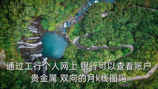 通過(guò)工行個(gè)人網(wǎng)上 銀行可以查看賬戶貴金屬 雙向的月k線圖嗎
