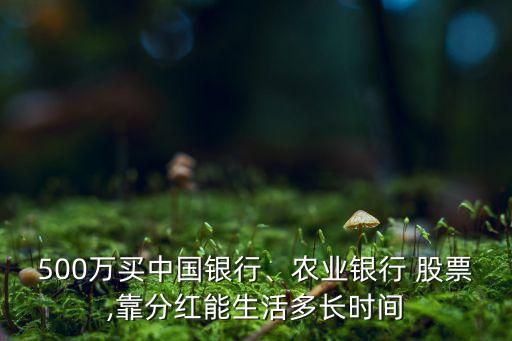 500萬買中國銀行、農(nóng)業(yè)銀行 股票,靠分紅能生活多長時(shí)間