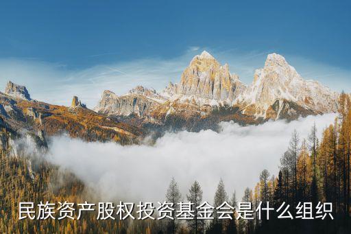 民族資產(chǎn)股權投資基金會是什么組織