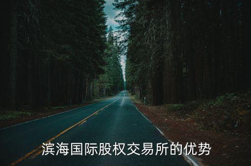  濱海國(guó)際股權(quán)交易所的優(yōu)勢(shì)