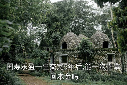國(guó)壽樂盈一生交完5年后,能一次性拿 回本金嗎