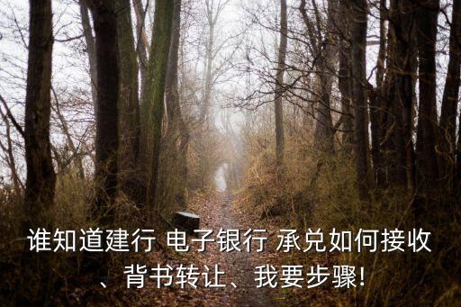 誰知道建行 電子銀行 承兌如何接收、背書轉(zhuǎn)讓、我要步驟!