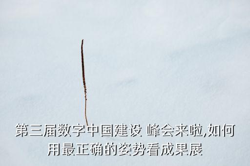 第三屆數(shù)字中國(guó)建設(shè) 峰會(huì)來啦,如何用最正確的姿勢(shì)看成果展