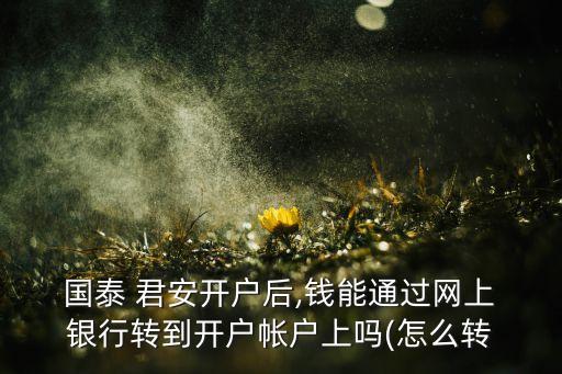  國(guó)泰 君安開戶后,錢能通過網(wǎng)上 銀行轉(zhuǎn)到開戶帳戶上嗎(怎么轉(zhuǎn)