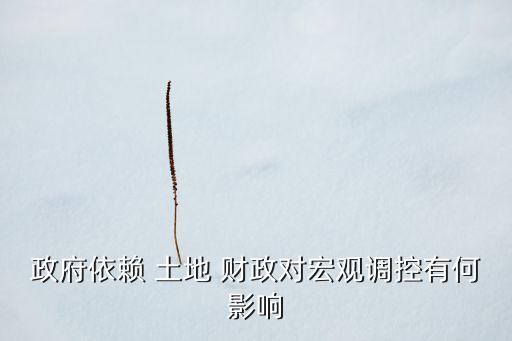 政府依賴 土地 財(cái)政對(duì)宏觀調(diào)控有何影響