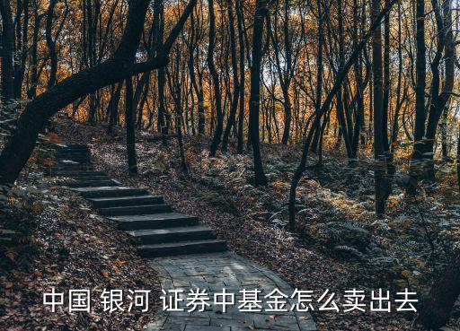 中國(guó) 銀河 證券中基金怎么賣(mài)出去