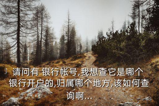 請問有 銀行帳號,我想查它是哪個 銀行開戶的,歸屬哪個地方,該如何查詢啊...
