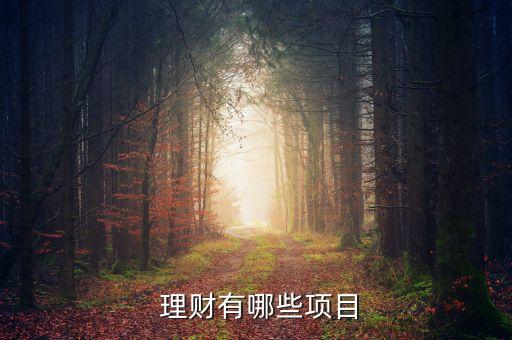 統(tǒng)一投資理財,100元怎么投資理財
