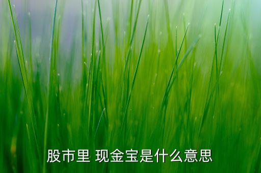 現(xiàn)金寶刪除銀行卡,為什么現(xiàn)金寶的錢(qián)轉(zhuǎn)不到銀行卡