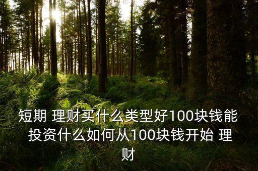 短期 理財(cái)買(mǎi)什么類型好100塊錢(qián)能 投資什么如何從100塊錢(qián)開(kāi)始 理財(cái)