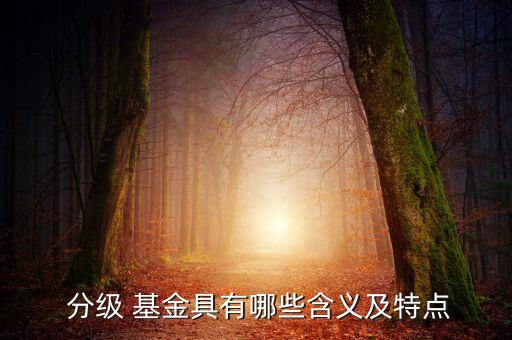  分級 基金具有哪些含義及特點