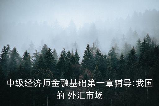 中級經(jīng)濟師金融基礎(chǔ)第一章輔導:我國的 外匯市場