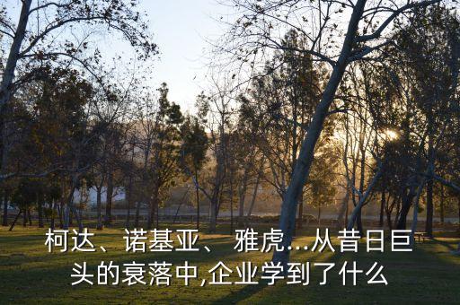 柯達、諾基亞、 雅虎...從昔日巨頭的衰落中,企業(yè)學到了什么