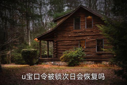 民生銀行u寶鎖定