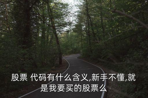 上市公司代碼意義,齊魯制藥上市公司代碼