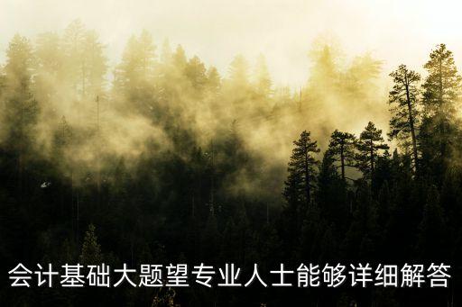 會計基礎(chǔ)大題望專業(yè)人士能夠詳細(xì)解答