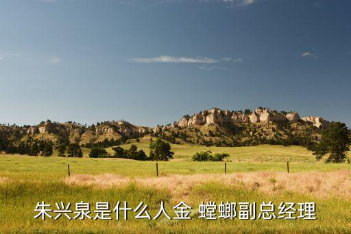 朱興泉是什么人金 螳螂副總經(jīng)理