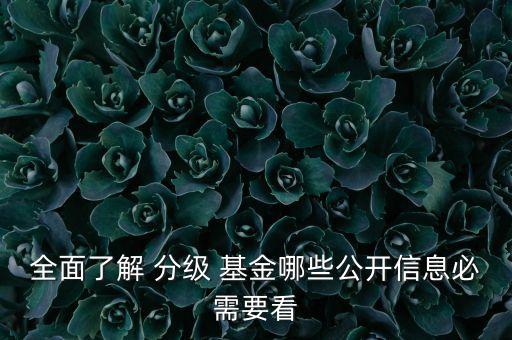 全面了解 分級(jí) 基金哪些公開信息必需要看