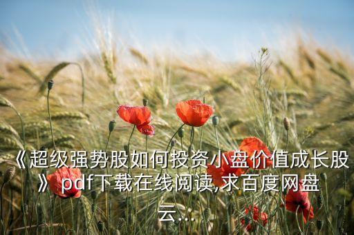 《超級(jí)強(qiáng)勢(shì)股如何投資小盤(pán)價(jià)值成長(zhǎng)股》 pdf下載在線閱讀,求百度網(wǎng)盤(pán)云...