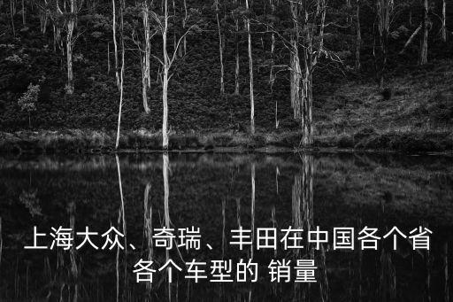 上海大眾、奇瑞、豐田在中國各個(gè)省各個(gè)車型的 銷量