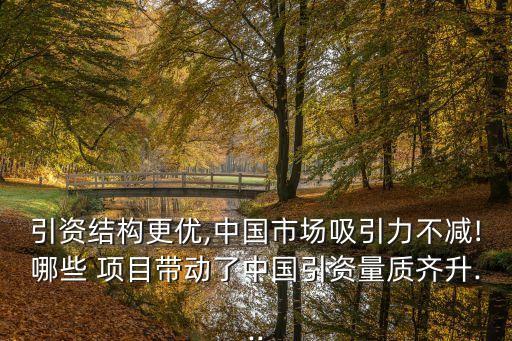 引資結(jié)構(gòu)更優(yōu),中國市場吸引力不減!哪些 項目帶動了中國引資量質(zhì)齊升...
