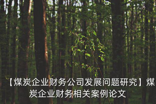 【煤炭企業(yè)財(cái)務(wù)公司發(fā)展問(wèn)題研究】煤炭企業(yè)財(cái)務(wù)相關(guān)案例論文